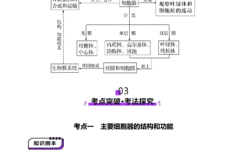 第06讲细胞器和生物膜系统（讲义）（原卷版）_新高考复习资料_2025年新高考资料_2025年高考生物一轮复习讲练测（新教材新高考）