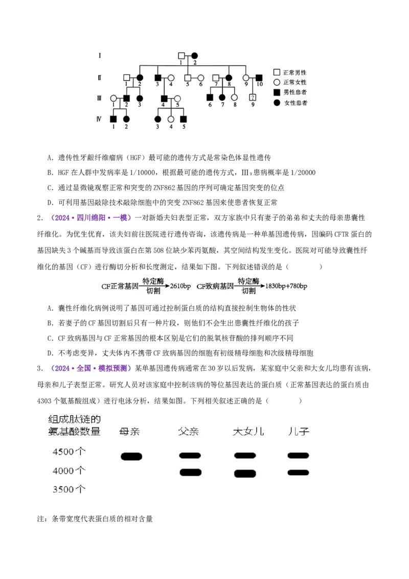第08讲伴性遗传和人类遗传病（专项训练，3大题型）（原卷版）_2025年新高考资料_二轮复习_01高考语文等多个文件_上好课2025年高考生物二轮复习讲练测（新高考通用）