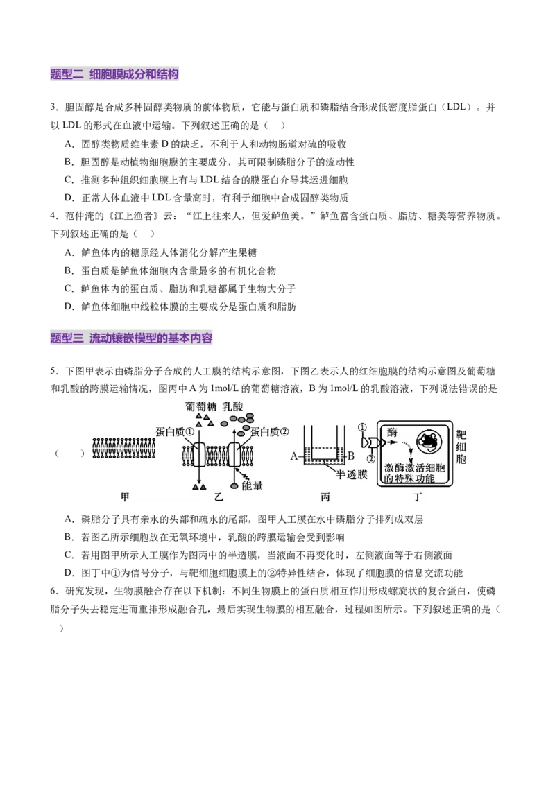 第05讲细胞膜和细胞核（练习）（原卷版）_新高考复习资料_2025年新高考资料_2025年高考生物一轮复习讲练测（新教材新高考）