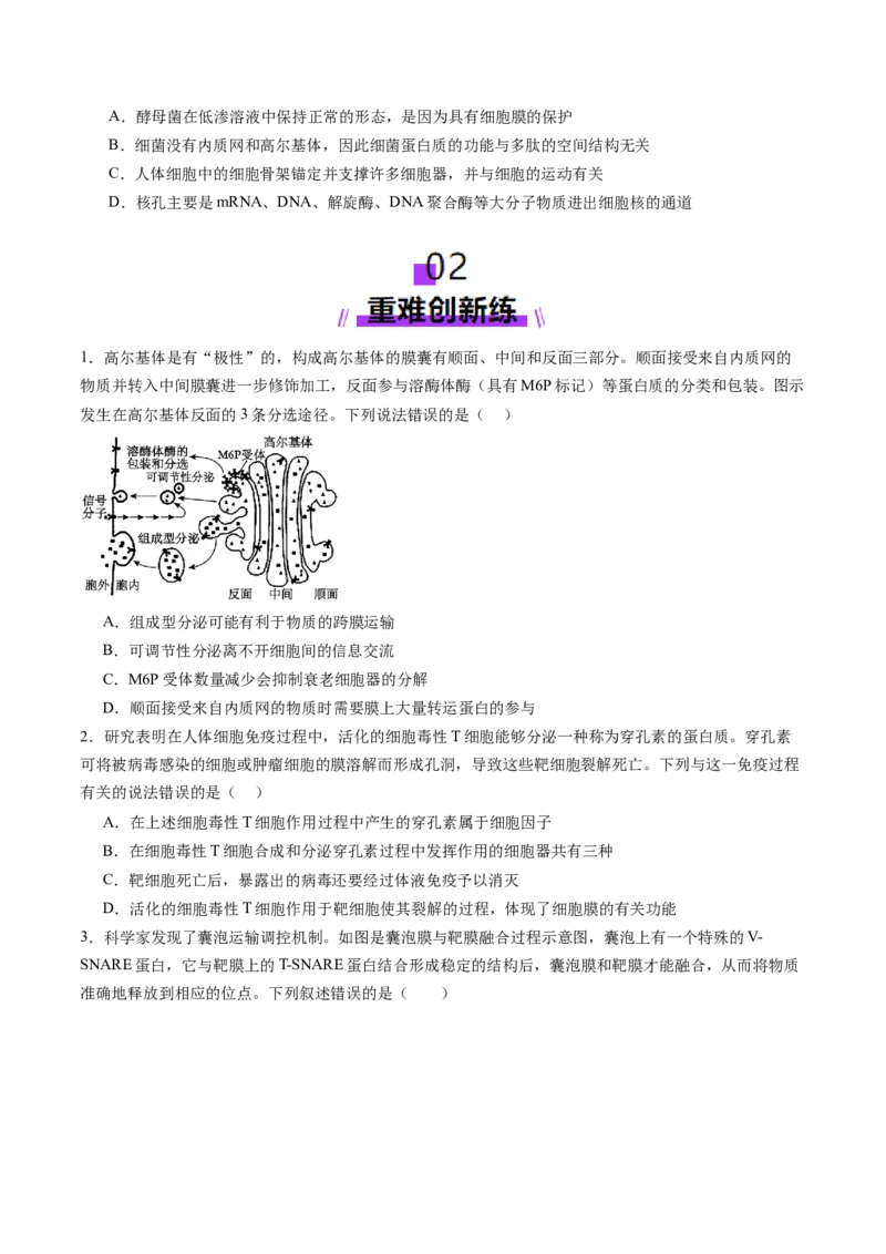 第05讲细胞膜和细胞核（练习）（原卷版）_新高考复习资料_2025年新高考资料_2025年高考生物一轮复习讲练测（新教材新高考）