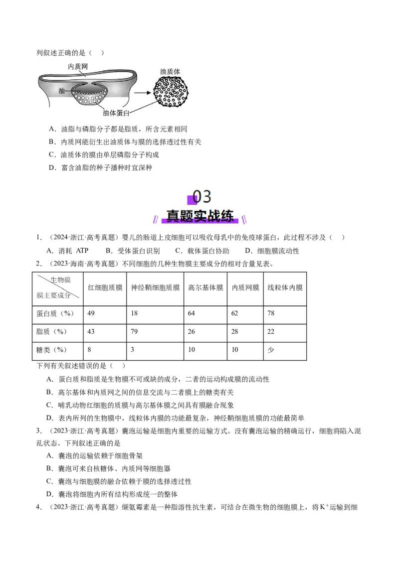 第05讲细胞膜和细胞核（练习）（原卷版）_新高考复习资料_2025年新高考资料_2025年高考生物一轮复习讲练测（新教材新高考）