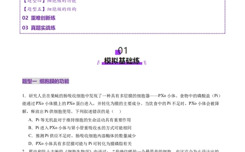第05讲细胞膜和细胞核（练习）（原卷版）_新高考复习资料_2025年新高考资料_2025年高考生物一轮复习讲练测（新教材新高考）