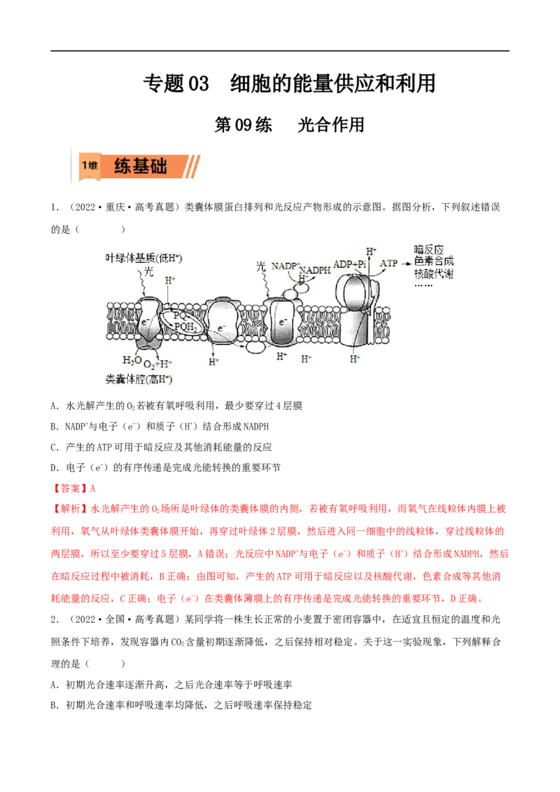 第09练光合作用（解析版）_新高考复习资料_2023年新高考复习资料_一轮复习_2023年高考生物一轮复习小题多维练（新高考专用）