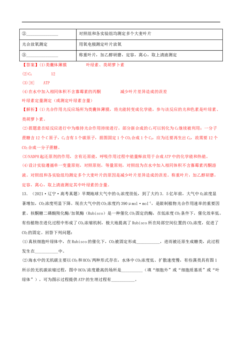 第09练光合作用（解析版）_新高考复习资料_2023年新高考复习资料_一轮复习_2023年高考生物一轮复习小题多维练（新高考专用）