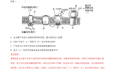 第09练光合作用（解析版）_新高考复习资料_2023年新高考复习资料_一轮复习_2023年高考生物一轮复习小题多维练（新高考专用）