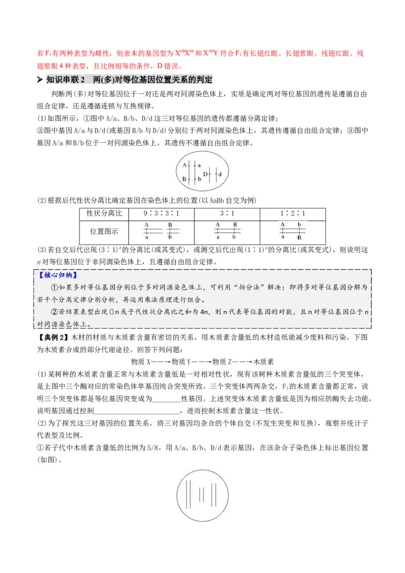 第07讲基因的分离定律和自由组合定律（讲义）（解析版）_2025年新高考资料_二轮复习_01高考语文等多个文件_上好课2025年高考生物二轮复习讲练测（新高考通用）