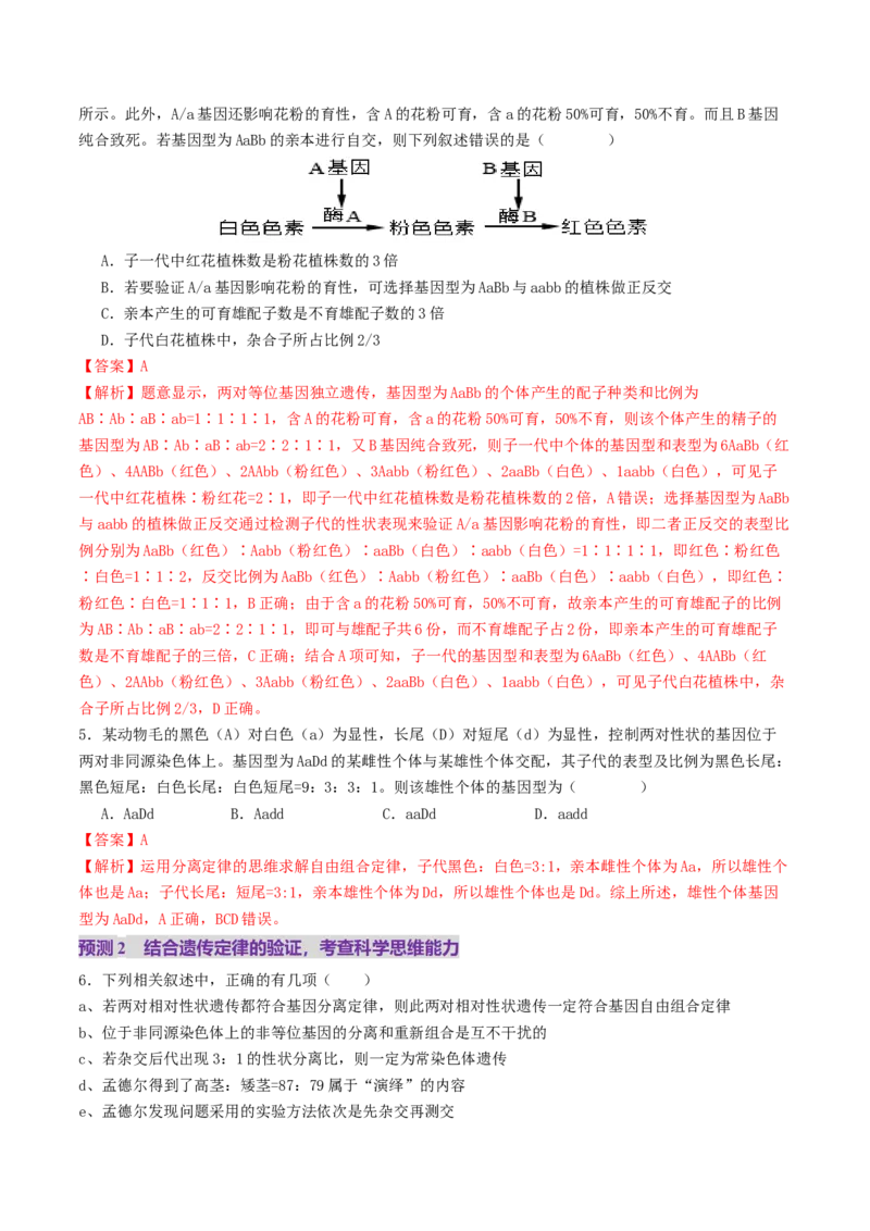 第07讲基因的分离定律和自由组合定律（讲义）（解析版）_2025年新高考资料_二轮复习_01高考语文等多个文件_上好课2025年高考生物二轮复习讲练测（新高考通用）