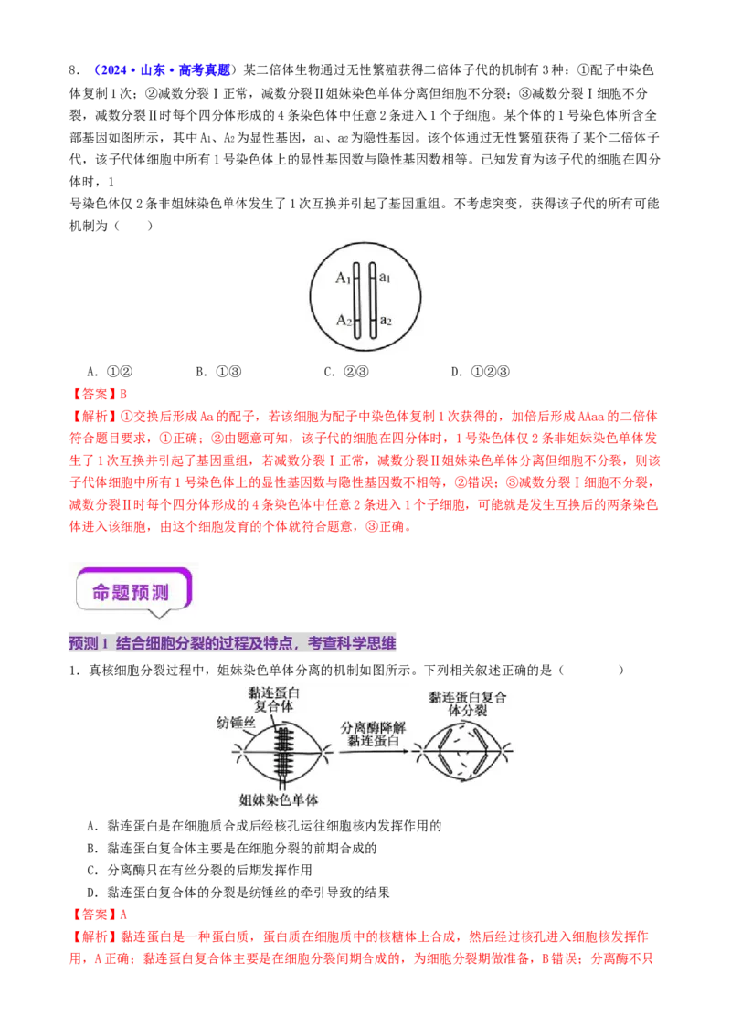第05讲细胞的增殖和减数分裂（讲义）（解析版）_2025年新高考资料_二轮复习_01高考语文等多个文件_上好课2025年高考生物二轮复习讲练测（新高考通用）