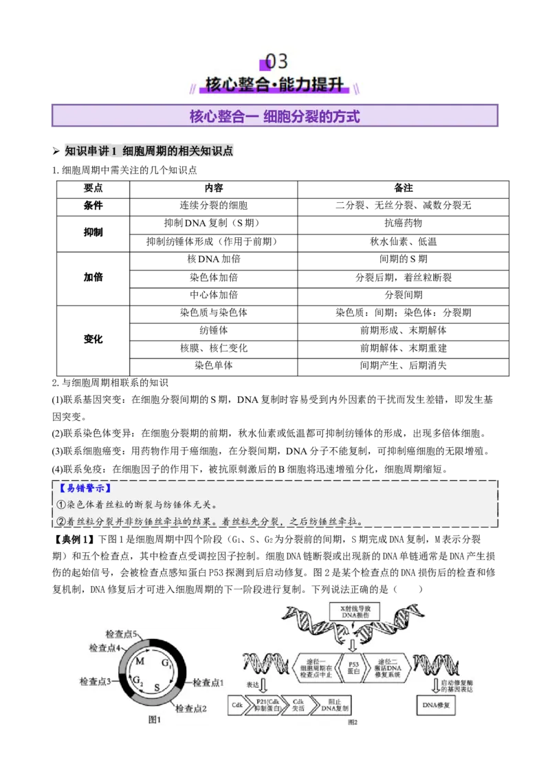 第05讲细胞的增殖和减数分裂（讲义）（解析版）_2025年新高考资料_二轮复习_01高考语文等多个文件_上好课2025年高考生物二轮复习讲练测（新高考通用）