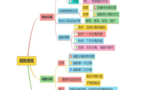 第05讲细胞的增殖和减数分裂（讲义）（解析版）_2025年新高考资料_二轮复习_01高考语文等多个文件_上好课2025年高考生物二轮复习讲练测（新高考通用）