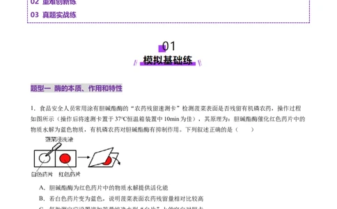 第08讲酶和ATP（第一课时）（练习）（原卷版）_2025年新高考资料_一轮复习_2025年高考生物一轮复习讲练测（新教材新高考）