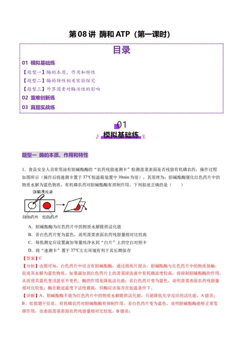第08讲酶和ATP（第一课时）（练习）（解析版）_2025年新高考资料_一轮复习_2025年高考生物一轮复习讲练测（新教材新高考）