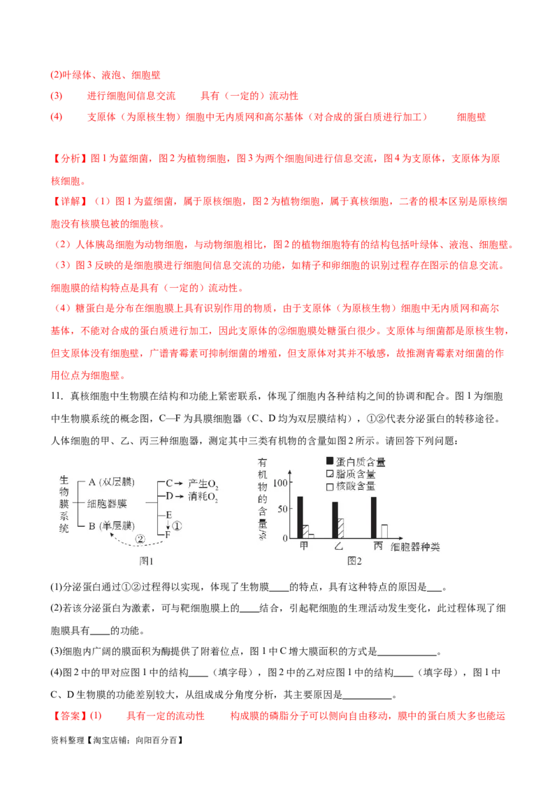 第02讲细胞的基本结构、功能与物质进出细胞的方式（练习）（解析版）_新高考复习资料_2024年新高考复习资料_二轮复习资料_2024年高考生物二轮复习讲练测（新教材新高考）_配套练习