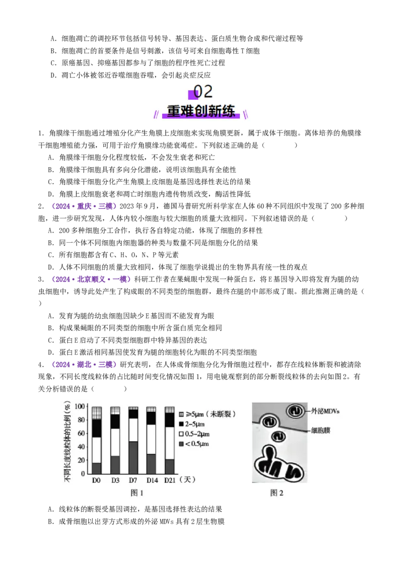 第06讲细胞的分化、衰老、死亡和癌变（专项训练，3大题型）（原卷版）_2025年新高考资料_二轮复习_上好课2025年高考生物二轮复习讲练测（新高考通用）3380526