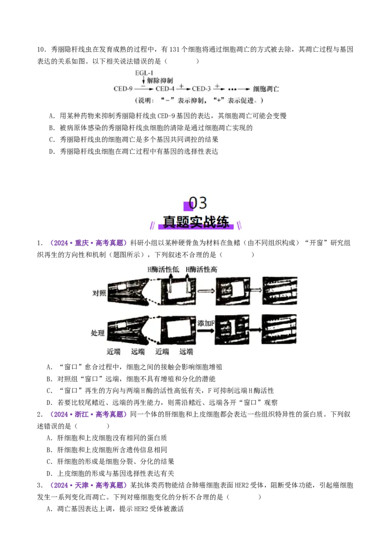 第06讲细胞的分化、衰老、死亡和癌变（专项训练，3大题型）（原卷版）_2025年新高考资料_二轮复习_上好课2025年高考生物二轮复习讲练测（新高考通用）3380526