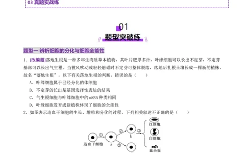 第06讲细胞的分化、衰老、死亡和癌变（专项训练，3大题型）（原卷版）_2025年新高考资料_二轮复习_上好课2025年高考生物二轮复习讲练测（新高考通用）3380526