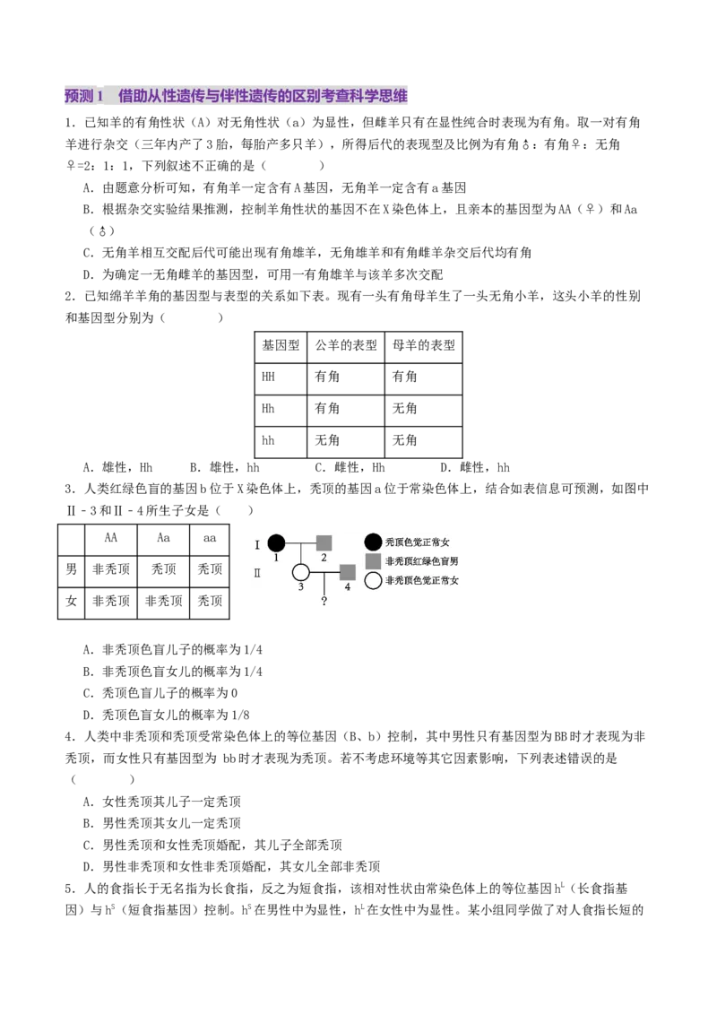 第08讲伴性遗传和人类遗传病（讲义）（原卷版）(1)_2025年新高考资料_二轮复习_01高考语文等多个文件_上好课2025年高考生物二轮复习讲练测（新高考通用）