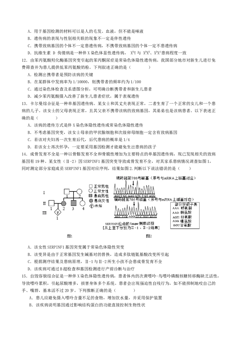 第08讲伴性遗传和人类遗传病（讲义）（原卷版）(1)_2025年新高考资料_二轮复习_01高考语文等多个文件_上好课2025年高考生物二轮复习讲练测（新高考通用）