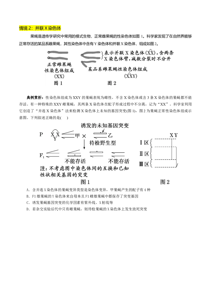 第08讲伴性遗传和人类遗传病（讲义）（原卷版）(1)_2025年新高考资料_二轮复习_01高考语文等多个文件_上好课2025年高考生物二轮复习讲练测（新高考通用）