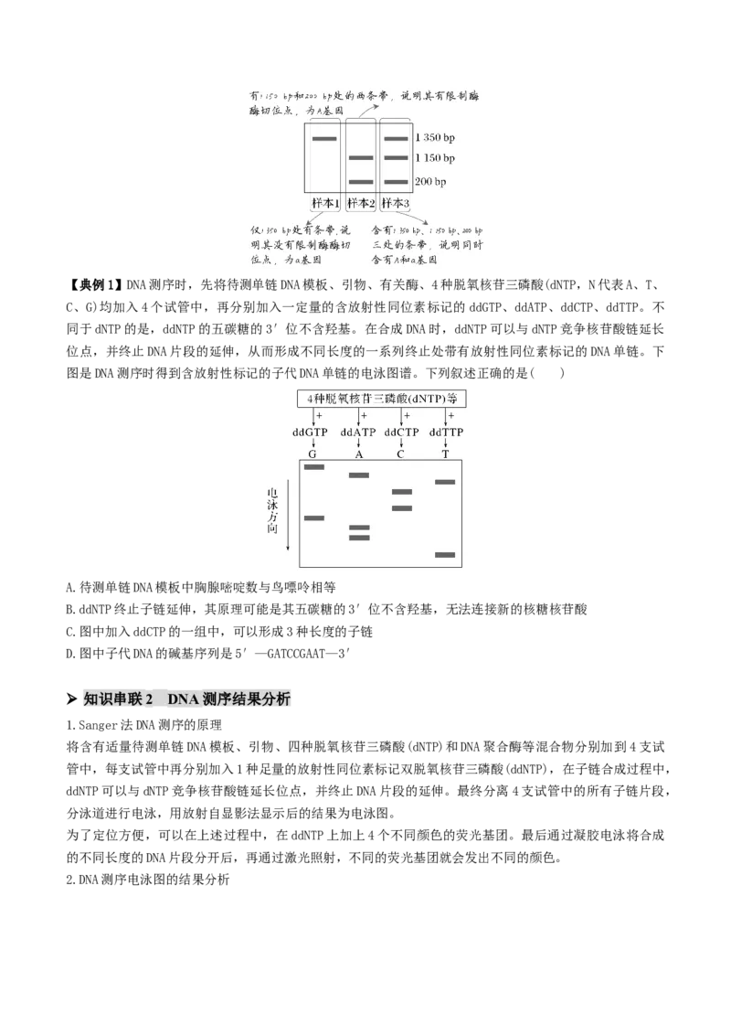 第08讲伴性遗传和人类遗传病（讲义）（原卷版）(1)_2025年新高考资料_二轮复习_01高考语文等多个文件_上好课2025年高考生物二轮复习讲练测（新高考通用）