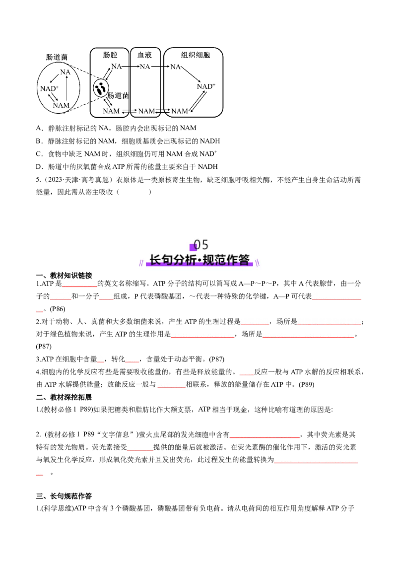 第08讲酶和ATP（第二课时）（讲义）（原卷版）_新高考复习资料_2025年新高考资料_2025年高考生物一轮复习讲练测（新教材新高考）