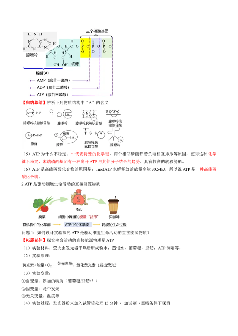 第08讲酶和ATP（第二课时）（讲义）（原卷版）_新高考复习资料_2025年新高考资料_2025年高考生物一轮复习讲练测（新教材新高考）