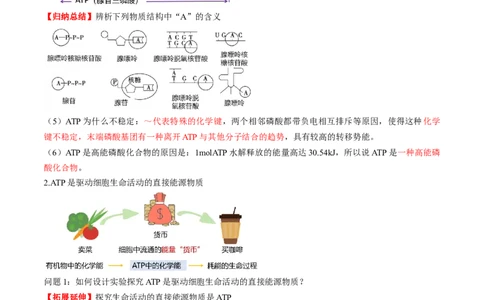 第08讲酶和ATP（第二课时）（讲义）（原卷版）_新高考复习资料_2025年新高考资料_2025年高考生物一轮复习讲练测（新教材新高考）