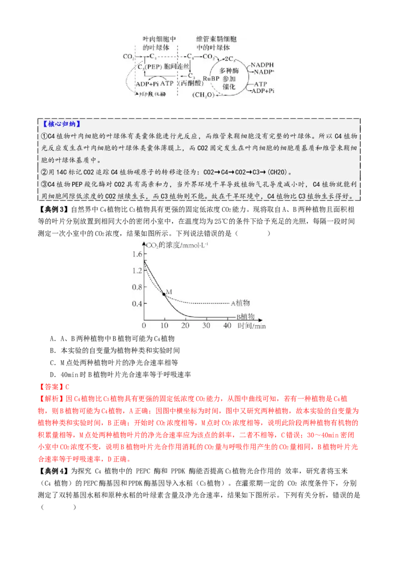 第04讲细胞呼吸和光合作用（讲义）（解析版）_2025年新高考资料_二轮复习_01高考语文等多个文件_上好课2025年高考生物二轮复习讲练测（新高考通用）