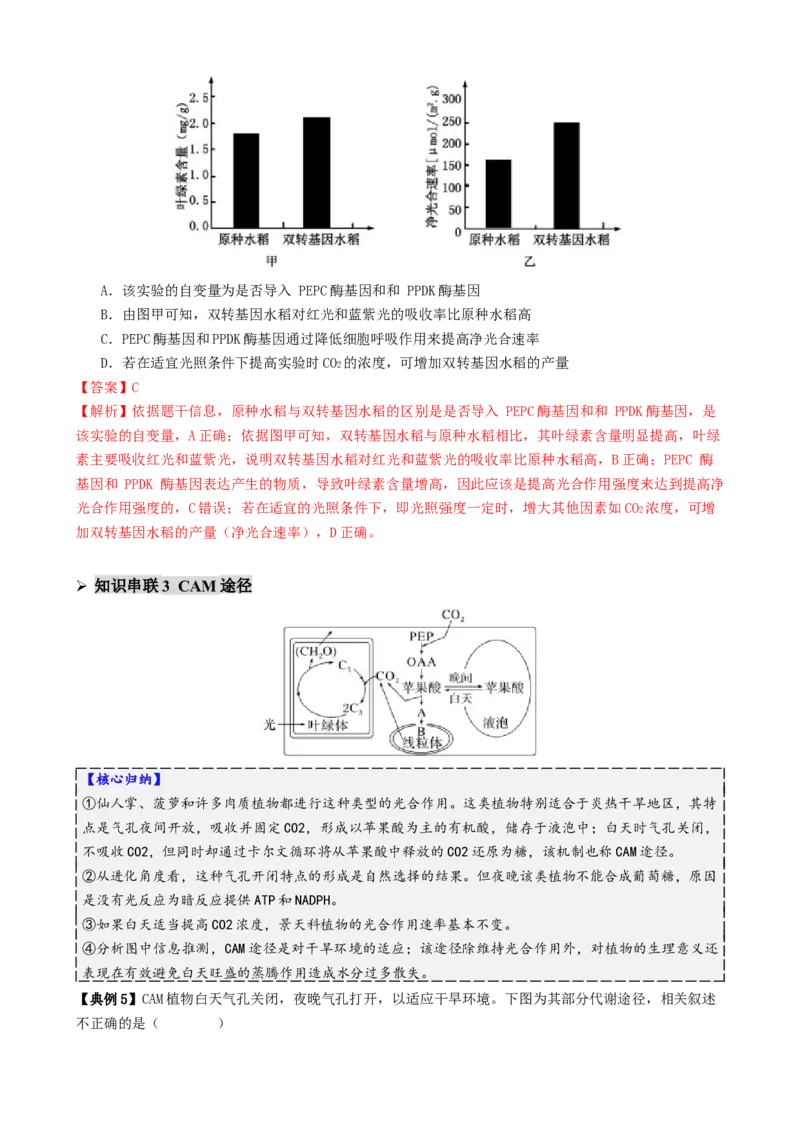 第04讲细胞呼吸和光合作用（讲义）（解析版）_2025年新高考资料_二轮复习_01高考语文等多个文件_上好课2025年高考生物二轮复习讲练测（新高考通用）