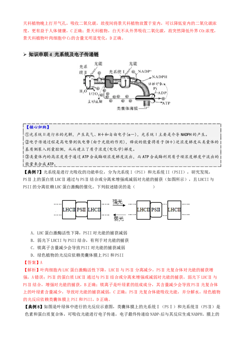 第04讲细胞呼吸和光合作用（讲义）（解析版）_2025年新高考资料_二轮复习_01高考语文等多个文件_上好课2025年高考生物二轮复习讲练测（新高考通用）