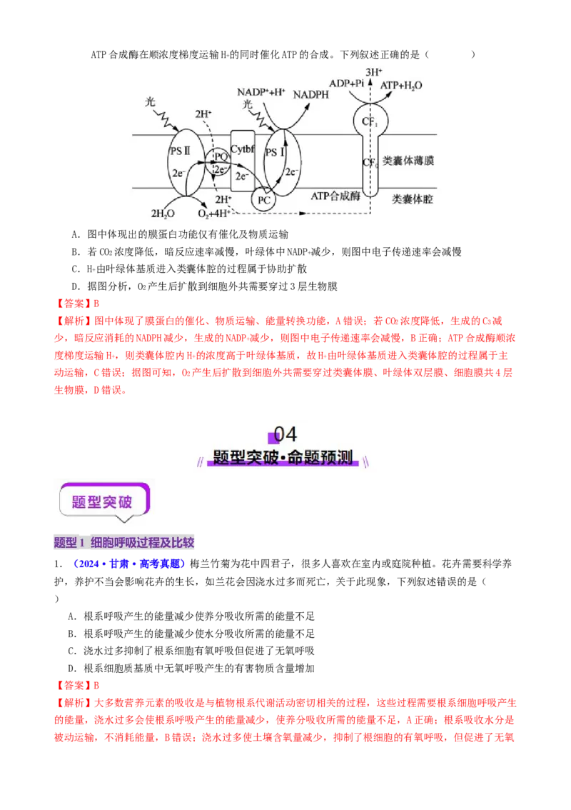 第04讲细胞呼吸和光合作用（讲义）（解析版）_2025年新高考资料_二轮复习_01高考语文等多个文件_上好课2025年高考生物二轮复习讲练测（新高考通用）