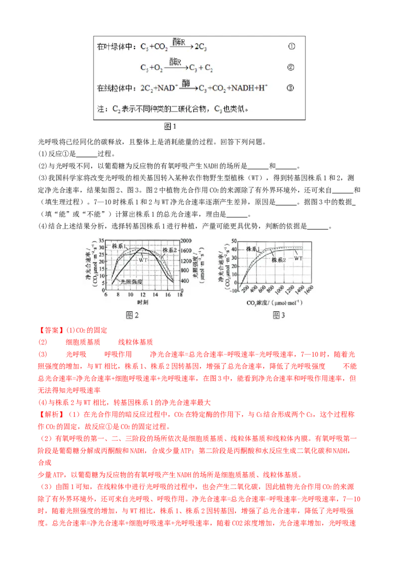 第04讲细胞呼吸和光合作用（讲义）（解析版）_2025年新高考资料_二轮复习_01高考语文等多个文件_上好课2025年高考生物二轮复习讲练测（新高考通用）