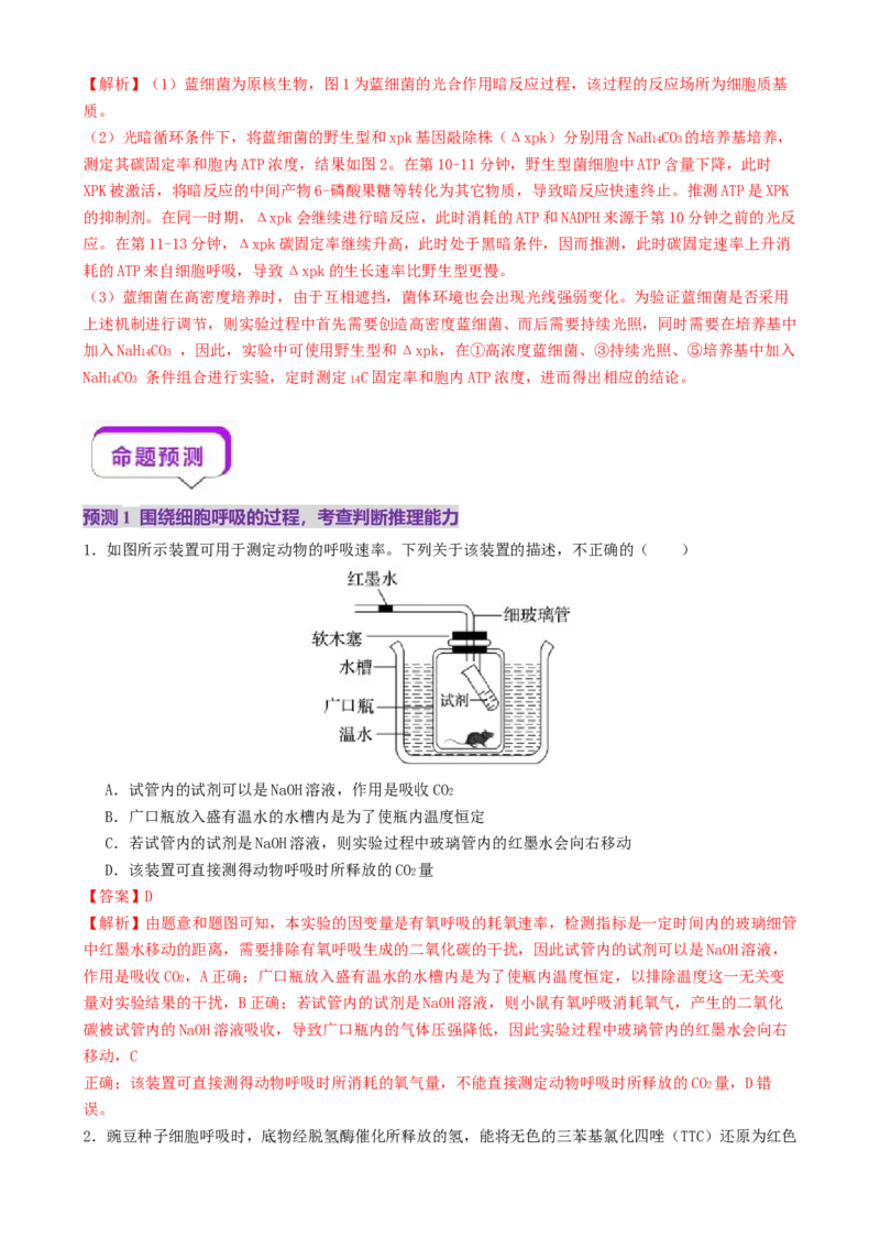 第04讲细胞呼吸和光合作用（讲义）（解析版）_2025年新高考资料_二轮复习_01高考语文等多个文件_上好课2025年高考生物二轮复习讲练测（新高考通用）