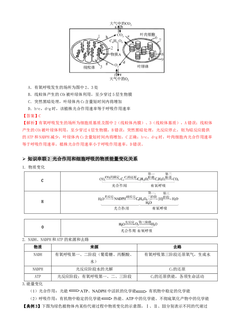 第04讲细胞呼吸和光合作用（讲义）（解析版）_2025年新高考资料_二轮复习_01高考语文等多个文件_上好课2025年高考生物二轮复习讲练测（新高考通用）
