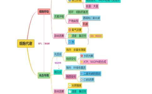 第04讲细胞呼吸和光合作用（讲义）（解析版）_2025年新高考资料_二轮复习_01高考语文等多个文件_上好课2025年高考生物二轮复习讲练测（新高考通用）