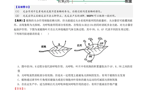 第04讲细胞呼吸和光合作用（讲义）（解析版）_2025年新高考资料_二轮复习_01高考语文等多个文件_上好课2025年高考生物二轮复习讲练测（新高考通用）