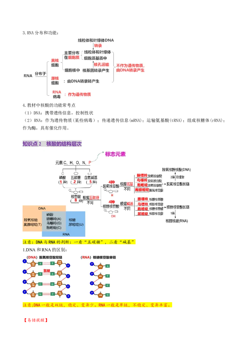 第04讲蛋白质和核酸（讲义）（解析版）_新高考复习资料_2025年新高考资料_2025年高考生物一轮复习讲练测（新教材新高考）