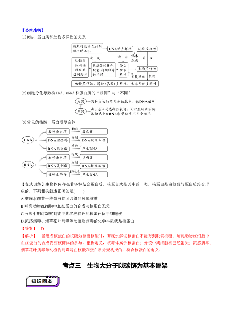 第04讲蛋白质和核酸（讲义）（解析版）_新高考复习资料_2025年新高考资料_2025年高考生物一轮复习讲练测（新教材新高考）