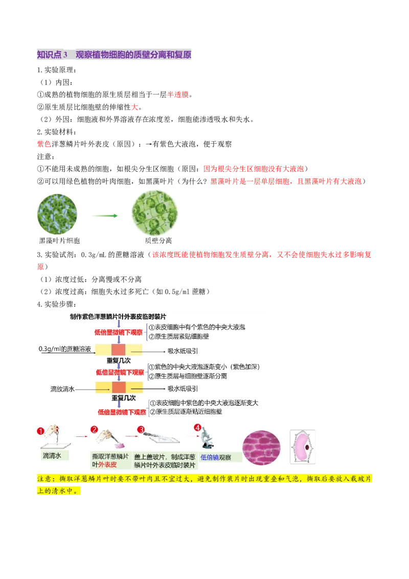 第07讲物质运输（讲义）（解析版）_新高考复习资料_2025年新高考资料_2025年高考生物一轮复习讲练测（新教材新高考）