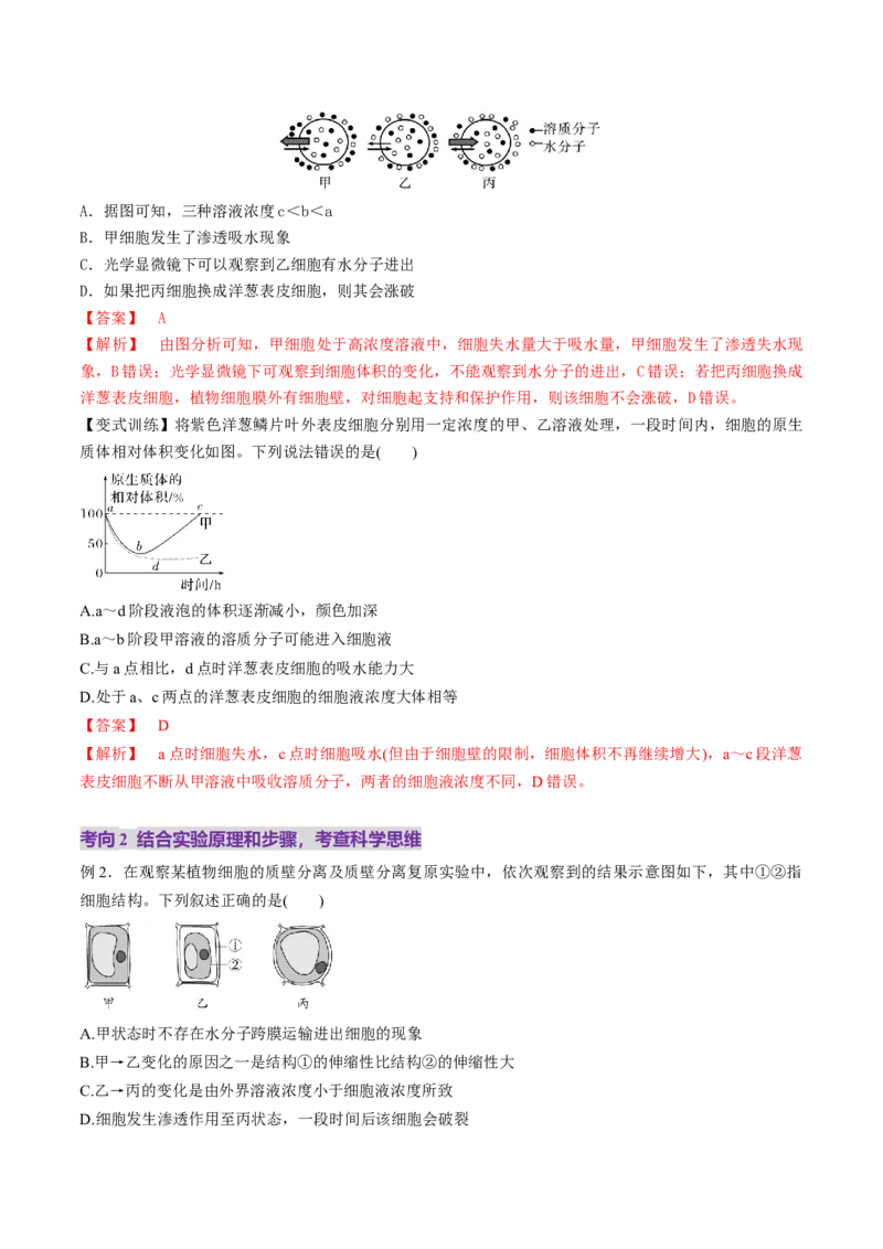 第07讲物质运输（讲义）（解析版）_新高考复习资料_2025年新高考资料_2025年高考生物一轮复习讲练测（新教材新高考）