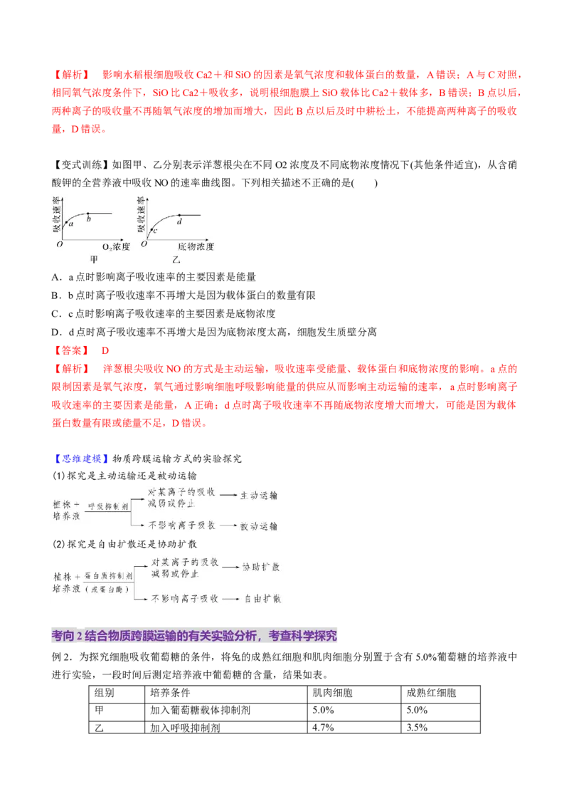 第07讲物质运输（讲义）（解析版）_新高考复习资料_2025年新高考资料_2025年高考生物一轮复习讲练测（新教材新高考）