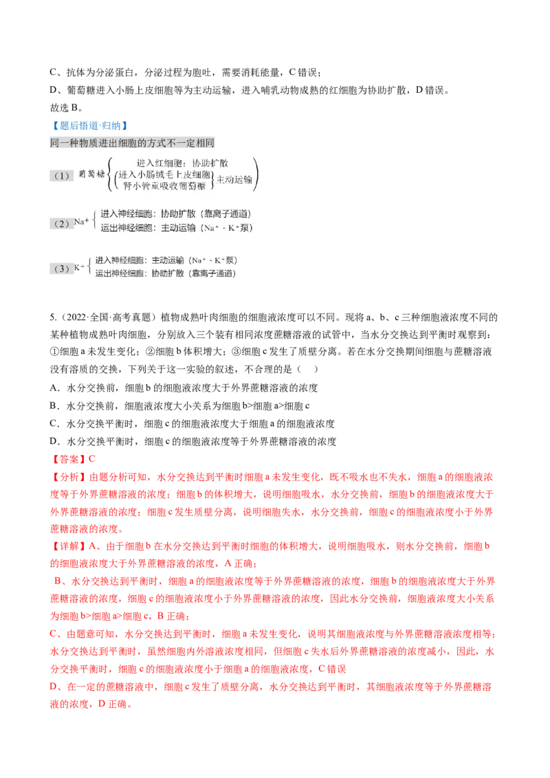 第07讲物质运输（讲义）（解析版）_新高考复习资料_2025年新高考资料_2025年高考生物一轮复习讲练测（新教材新高考）