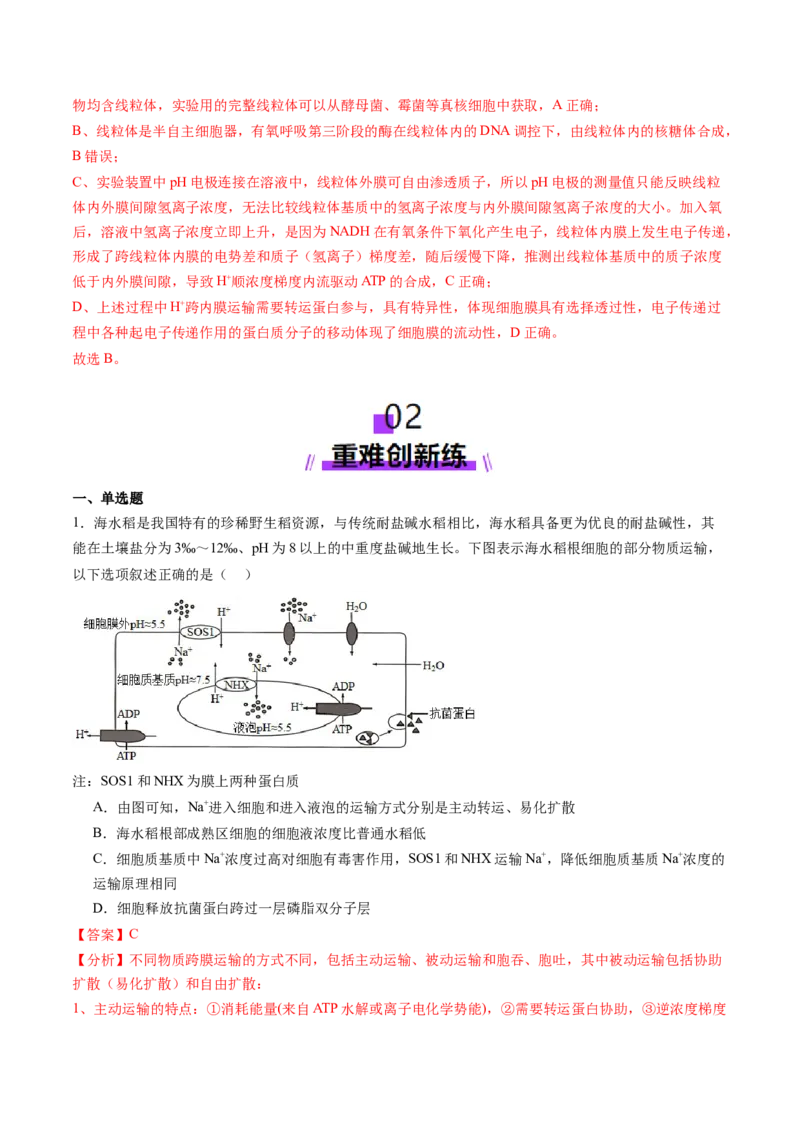 第07讲物质运输（练习）（解析版）_新高考复习资料_2025年新高考资料_2025年高考生物一轮复习讲练测（新教材新高考）