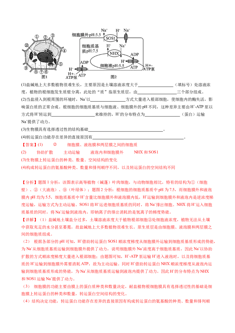 第07讲物质运输（练习）（解析版）_新高考复习资料_2025年新高考资料_2025年高考生物一轮复习讲练测（新教材新高考）