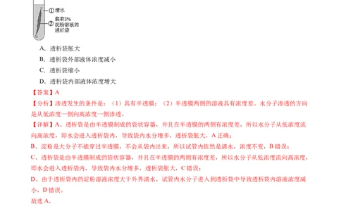 第07讲物质运输（练习）（解析版）_新高考复习资料_2025年新高考资料_2025年高考生物一轮复习讲练测（新教材新高考）