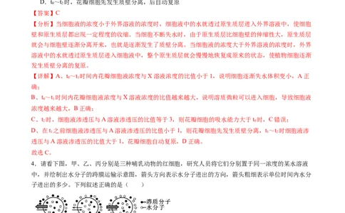 第07讲物质运输（练习）（解析版）_新高考复习资料_2025年新高考资料_2025年高考生物一轮复习讲练测（新教材新高考）