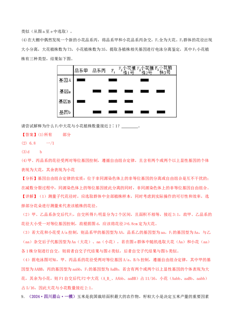 第07讲基因的分离定律和自由组合定律（专项训练，3大题型）（解析版）_2025年新高考资料_二轮复习_上好课2025年高考生物二轮复习讲练测（新高考通用）3380526