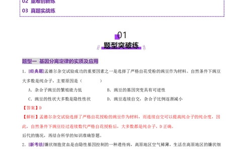 第07讲基因的分离定律和自由组合定律（专项训练，3大题型）（解析版）_2025年新高考资料_二轮复习_上好课2025年高考生物二轮复习讲练测（新高考通用）3380526