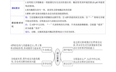 第08讲酶和ATP（第一课时）（讲义）（原卷版）_新高考复习资料_2025年新高考资料_2025年高考生物一轮复习讲练测（新教材新高考）