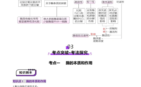 第08讲酶和ATP（第一课时）（讲义）（原卷版）_新高考复习资料_2025年新高考资料_2025年高考生物一轮复习讲练测（新教材新高考）